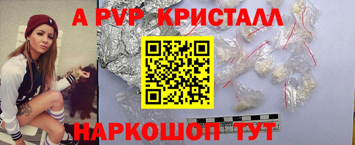 A-PVP СК КРИС Губкинский