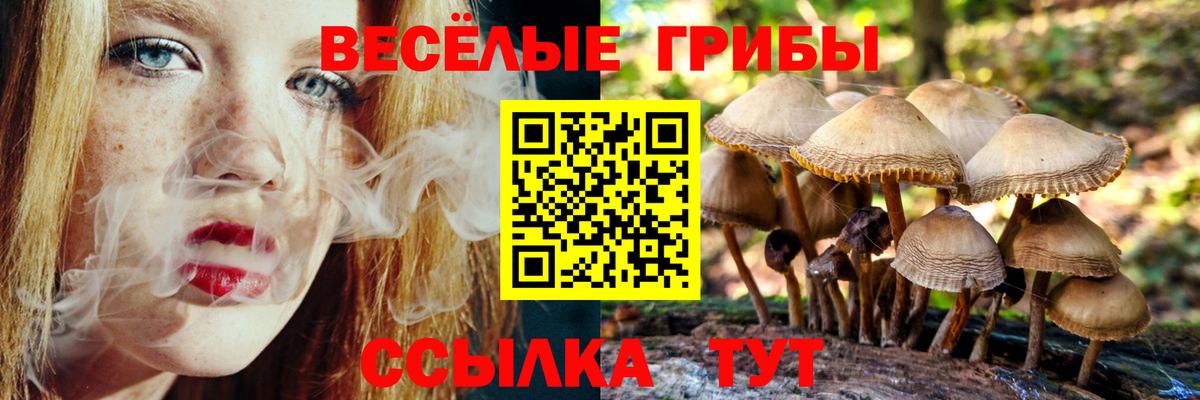 МДМА  КОКАИН  Губкинский  Вход с VPN  МАРИХУАНА  Alpha-PVP СОЛЬ   Меф  