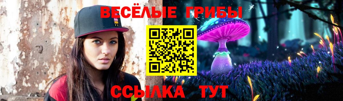 Галлюциногенные грибы MAGIC MUSHROOMS Губкинский
