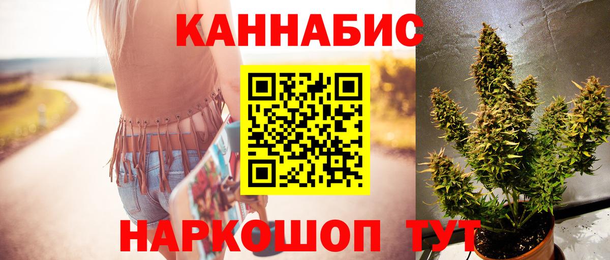 Канабис MAZAR Губкинский